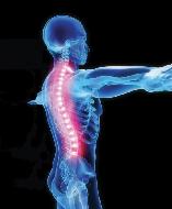 Squirrel HIll Chiropractic Spinal Care